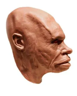 Steinzeitmensch Schaumlatex Maske -Spooky Masken Geschaft neandertaler schaumlatex maske steinzeitmensch latex maske neanderthal foamlatex mask 50345 03