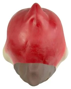 Papagei Maske Polly 5 Papagei Maske Polly -Spooky Masken Geschaft papagei maske polly comic vogel maske papagei verkleidung kostuemzubehoer 17741 3