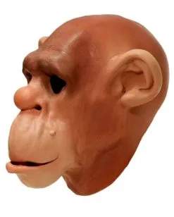 Affenmaske Aus Schaumlatex -Spooky Masken Geschaft schimpansen schaumlatex maske affenmaske tiermasken bild4 15361