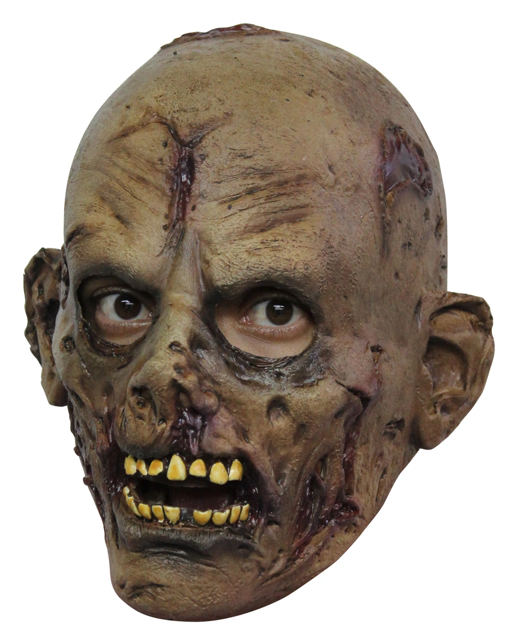 Rotten Zombie Kinder Maske 1 Rotten Zombie Kinder Maske